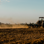 Fazenda Don Aro, lavoura