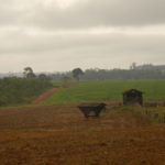 Fazenda Don Aro, paisagem