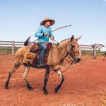 Fazenda Don Aro - trabalho